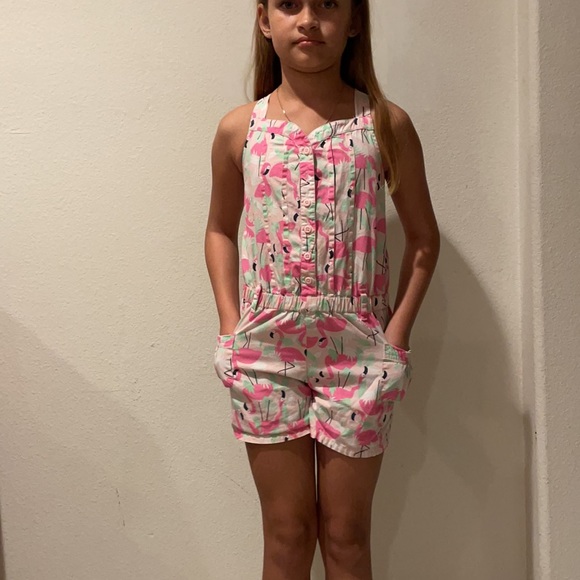COPY - Gymboree pink flamingos romper - Picture 5 of 9